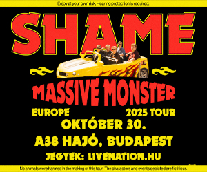 shame_300x250